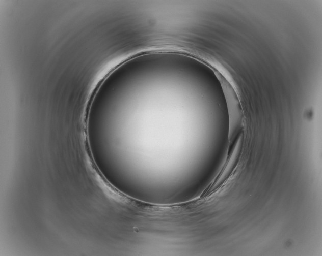 X0000090901485200708131342