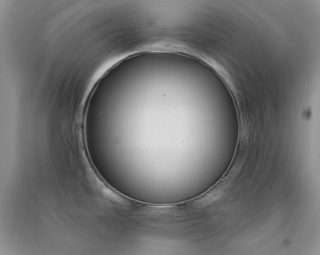 X0000090901486200708131342
