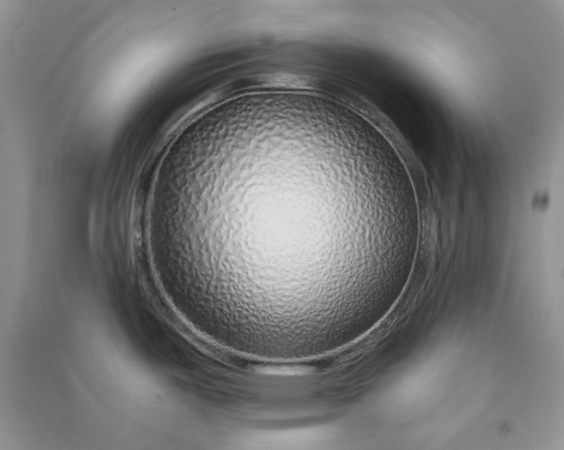 X0000090901487200708131342