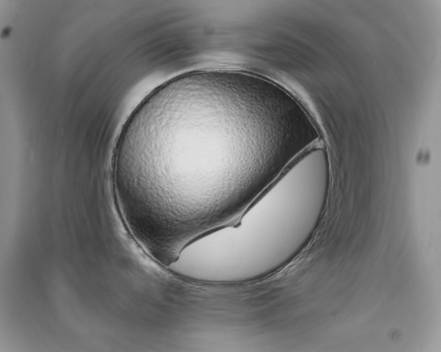 X0000090901488200708131342