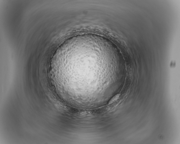 X0000090901489200708131342