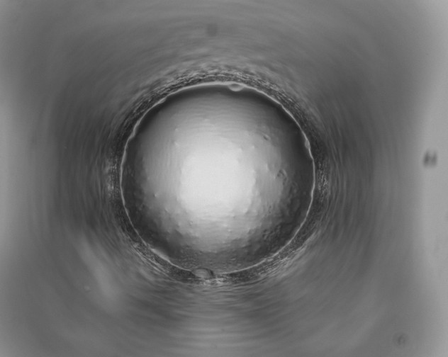 X0000090901490200708131342