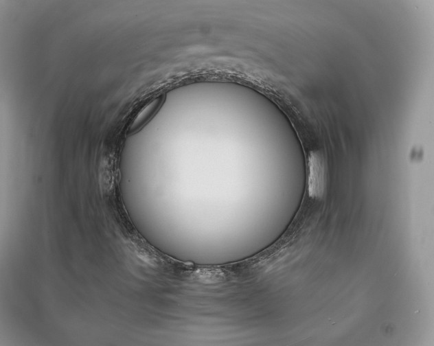 X0000090901491200708131342