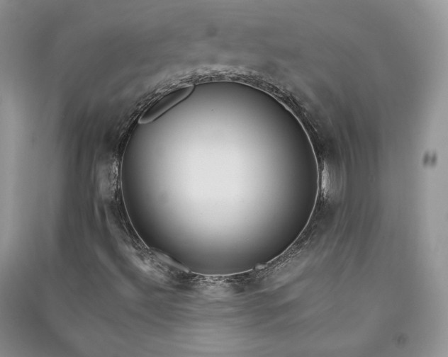 X0000090901492200708131342