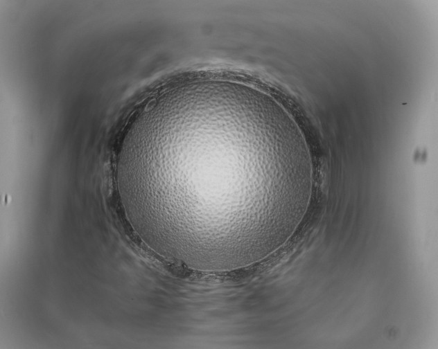 X0000090901493200708131342