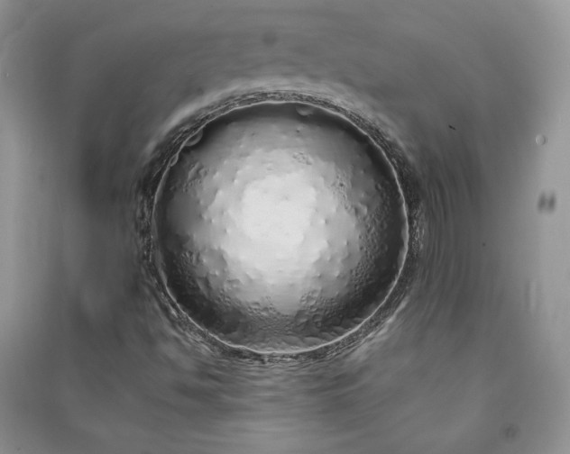X0000090901494200708131342