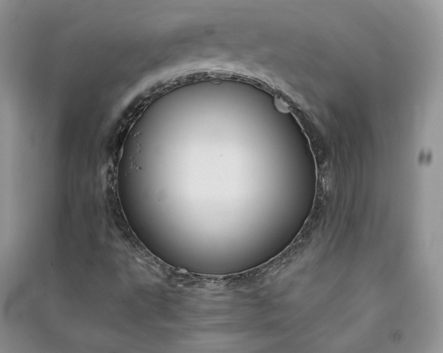 X0000090901495200708131342