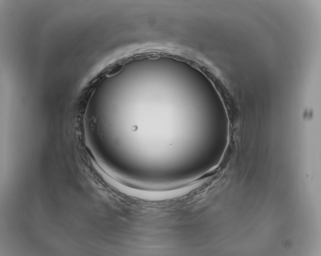 X0000090901496200708131342