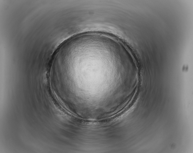 X0000090901497200708131342