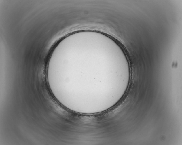 X0000090901498200708131342