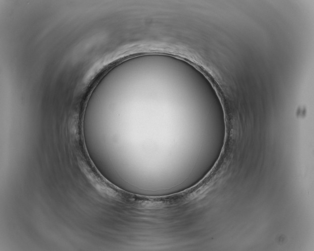 X0000090901499200708131342