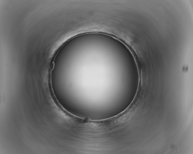 X0000090901500200708131342