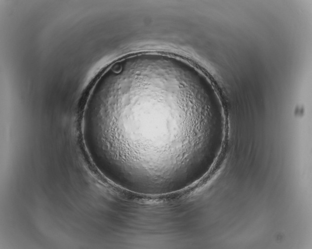 X0000090901501200708131342