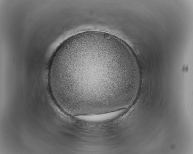 X0000090901503200708131342