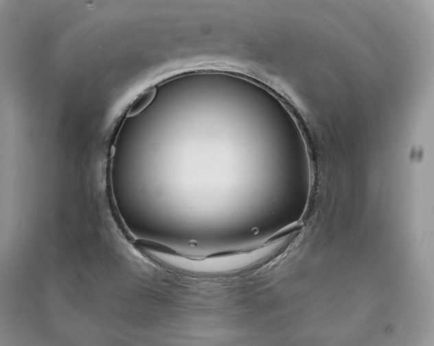 X0000090901504200708131342