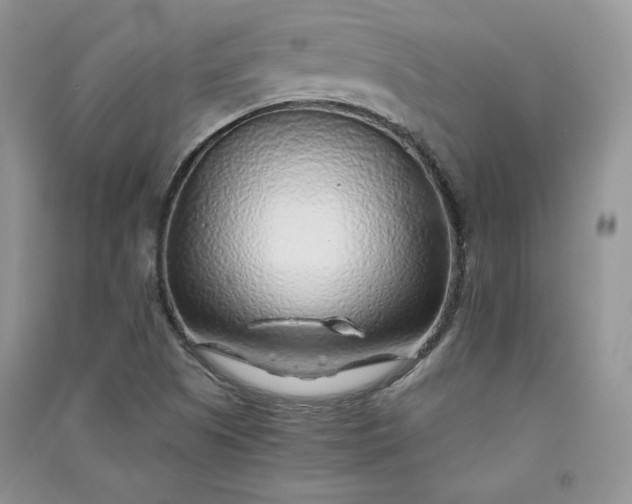 X0000090901505200708131342