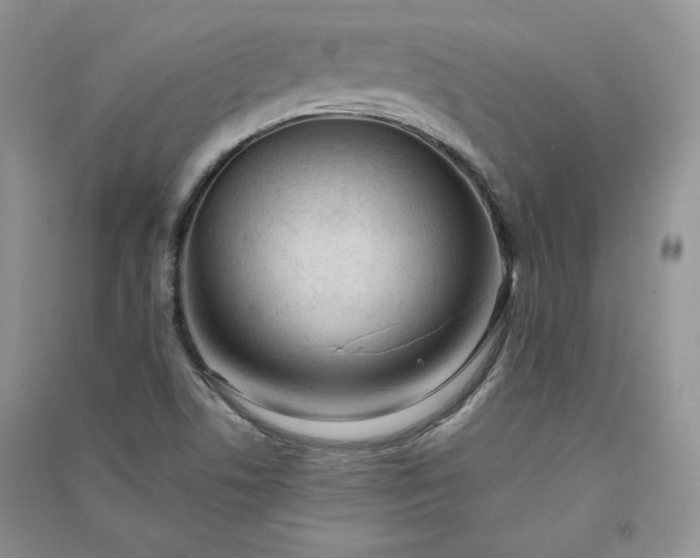 X0000090901506200708131342