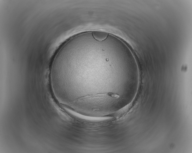 X0000090901507200708131342