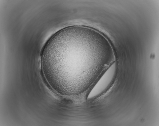 X0000090901509200708131342