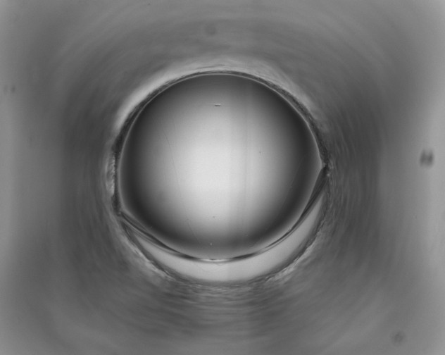 X0000090901510200708131342
