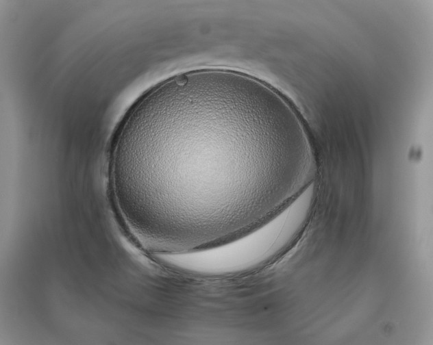 X0000090901511200708131342