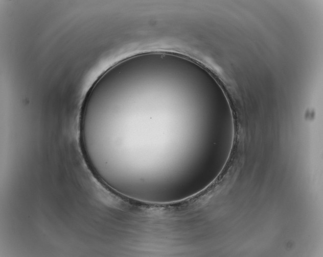 X0000090901512200708131342