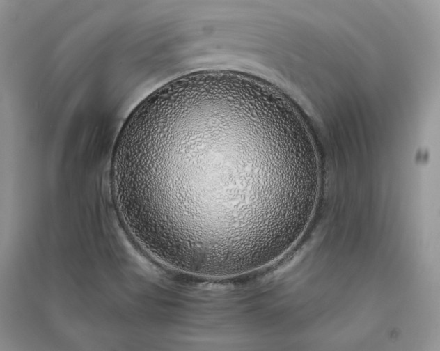 X0000090901513200708131342