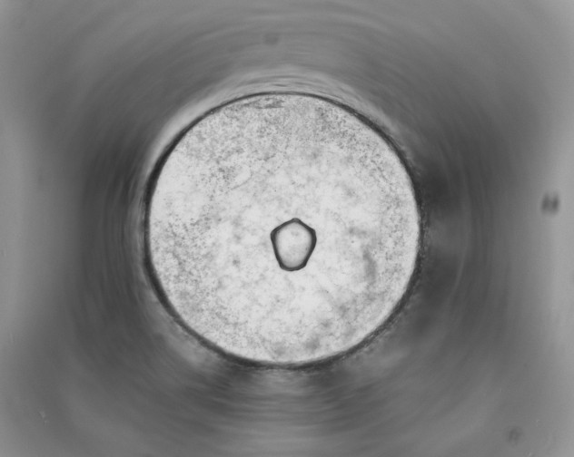 X0000090901514200708131342