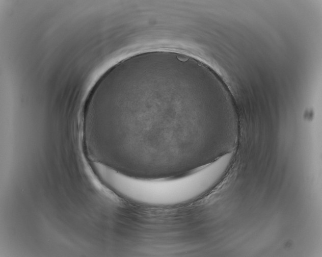 X0000090901515200708131342