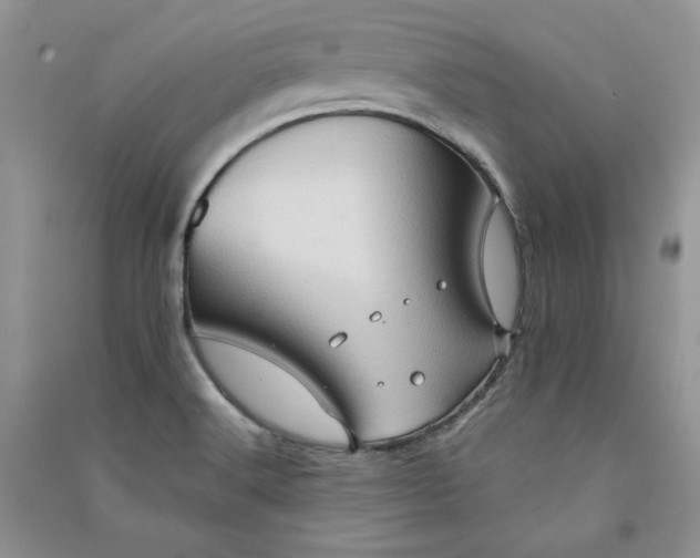 X0000090901516200708131342