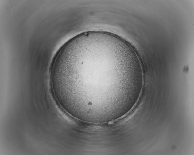 X0000090901517200708131342