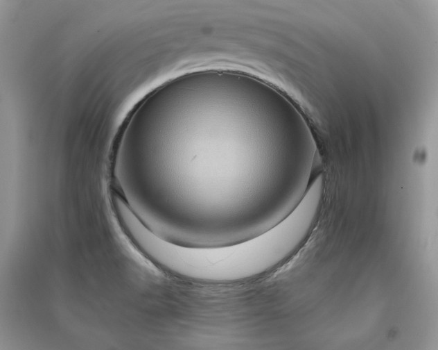 X0000090901518200708131342