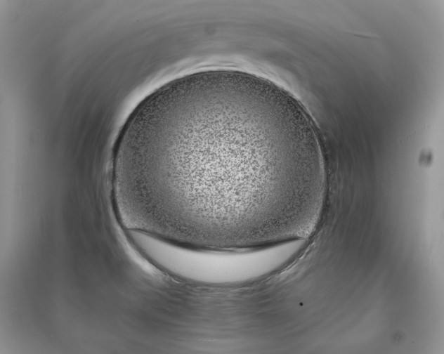 X0000090901519200708131342