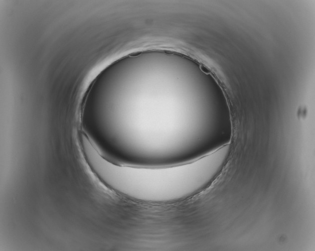 X0000090901520200708131342