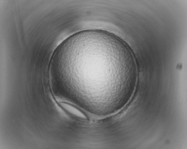 X0000090901521200708131342