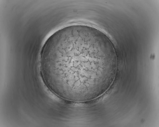 X0000090901522200708131342