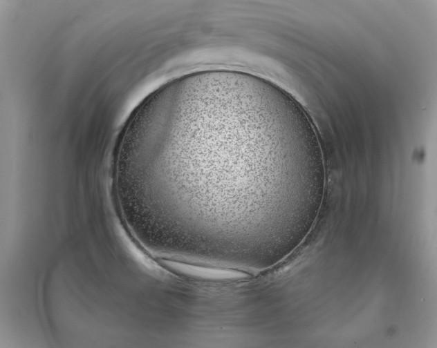 X0000090901523200708131342