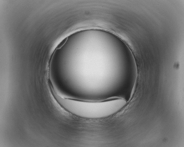 X0000090901524200708131342