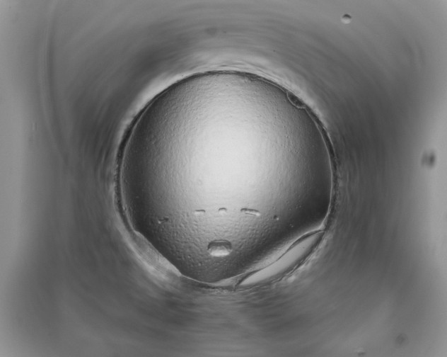 X0000090901525200708131342