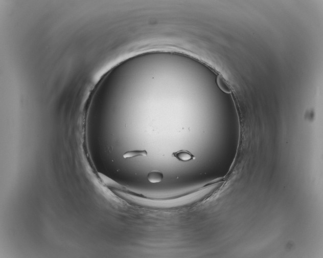 X0000090901526200708131342