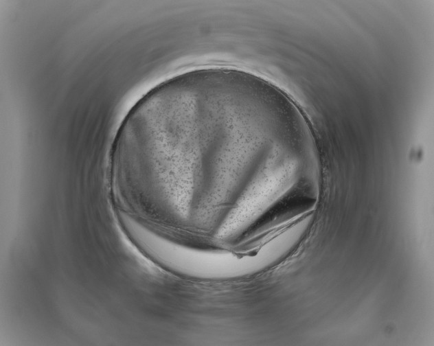 X0000090901527200708131342