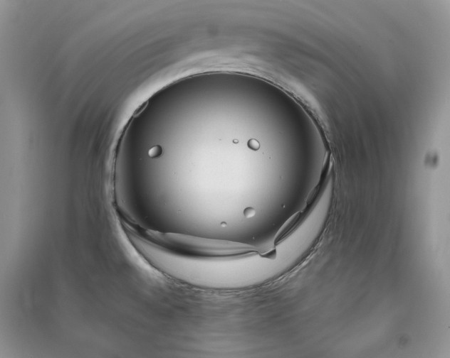 X0000090901528200708131342