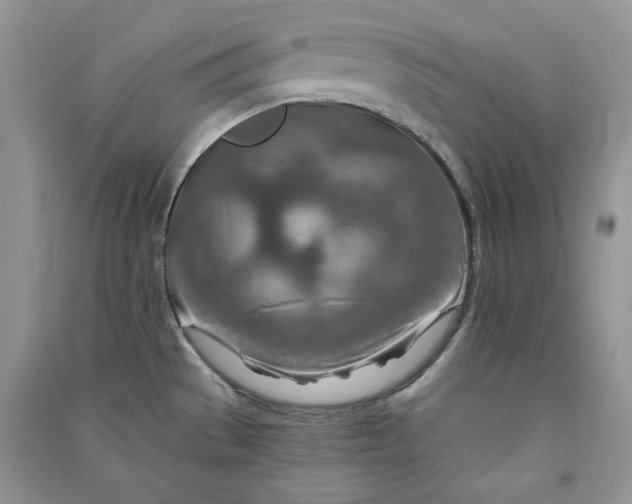 X0000090901529200708131342