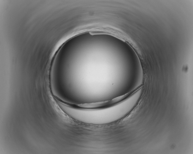 X0000090901530200708131342