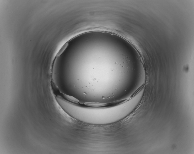 X0000090901532200708131342