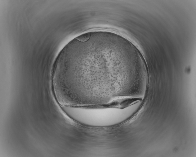 X0000090901533200708131342