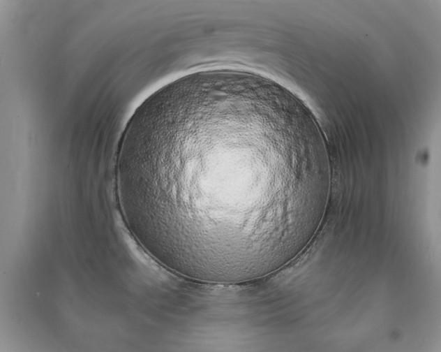 X0000090901534200708131342