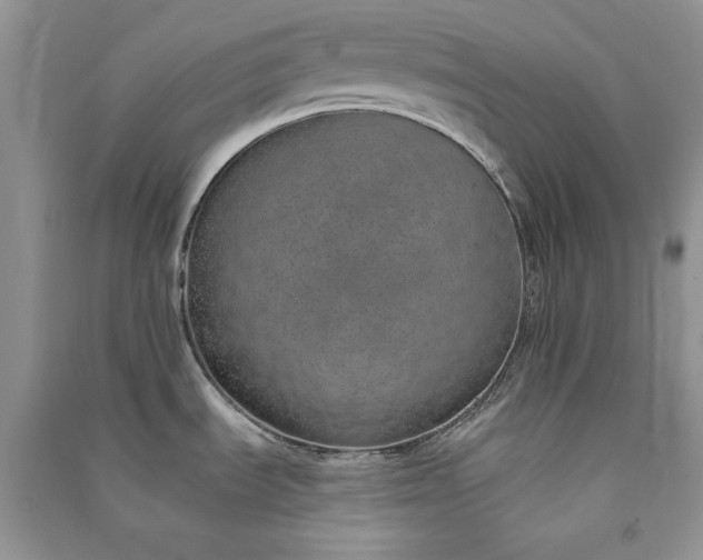 X0000090901535200708131342