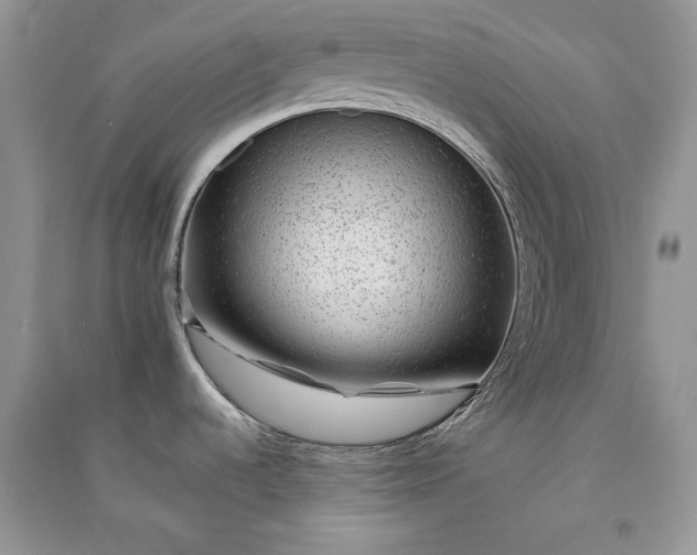 X0000090901536200708131342