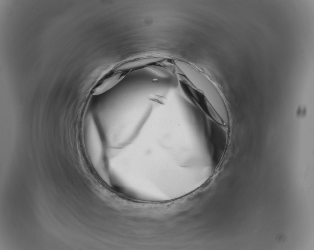 X0000090900001200708201728